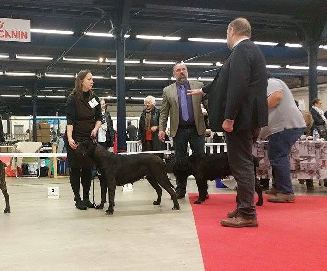 From Russians Traditions - Excellent resultats expo ParisDog Show 2016!